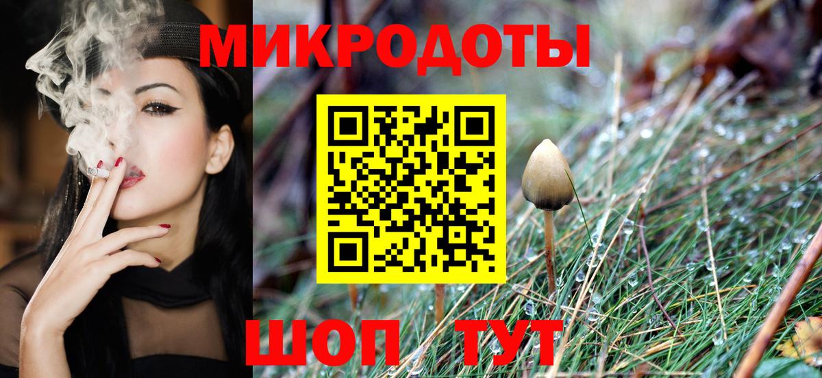 Псилоцибиновые грибы мицелий Менделеевск