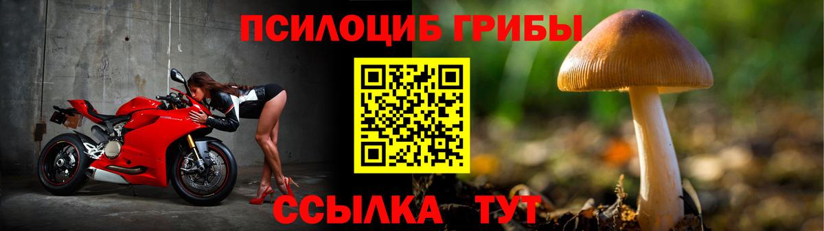 Менделеевск  Галлюциногенные грибы MAGIC MUSHROOMS  Вход с VPN 